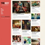 trendy red blogger template