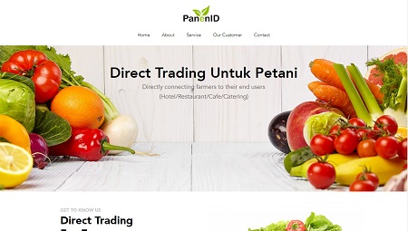 Panenid Landing Page