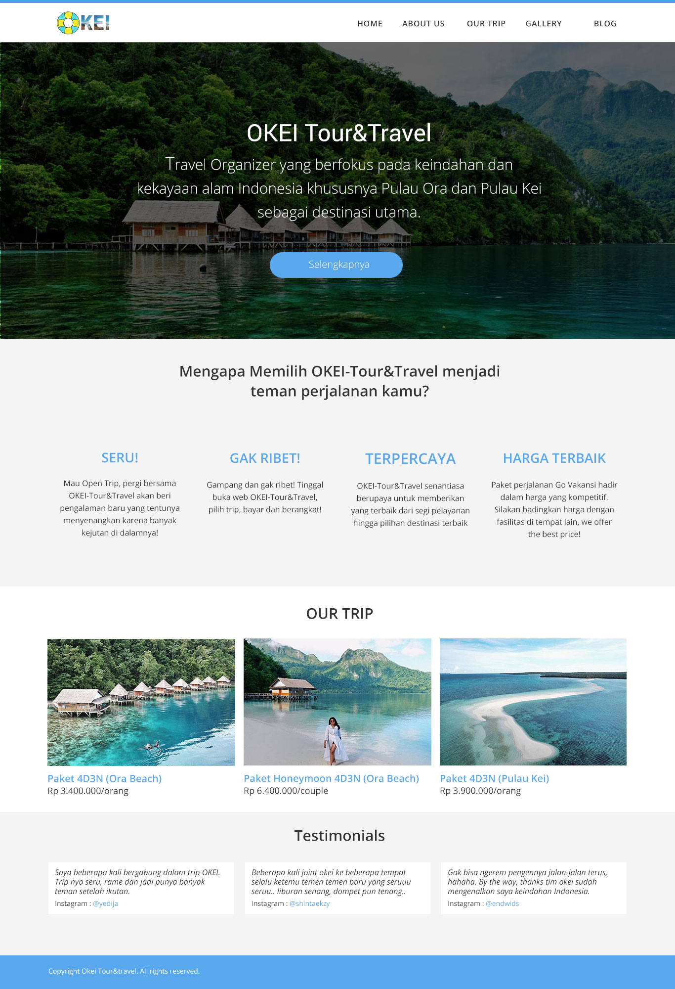 Okei Travel Website Design