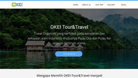 Okei Travel Website Design